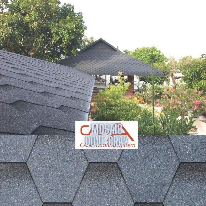 Công Ty TNHH – TM – DV – HLT Toàn Tiến
